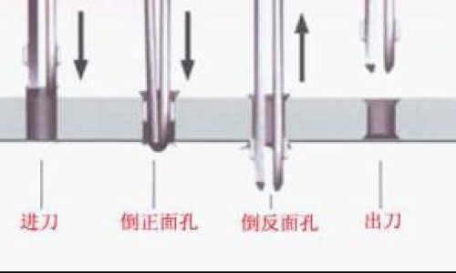海参的功效与作用及论文网海参的功效与作用及食用方法知识网站,分享海参花的功效与作用及食用方法大全