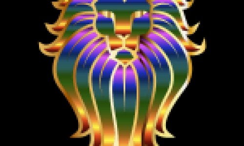 海参的功效与作用及论文网海参的功效与作用及食用方法知识网站,分享海参花的功效与作用及食用方法大全