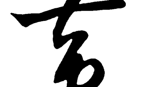 海参的功效与作用及论文网海参的功效与作用及食用方法知识网站,分享海参花的功效与作用及食用方法大全