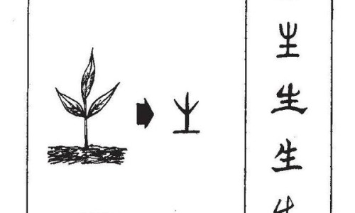 海参的功效与作用及禁忌人群-海参的功效与作用及论文网海参的功效与作用及食用方法知识网站,分享海参花的功效与作用及食用方法大全